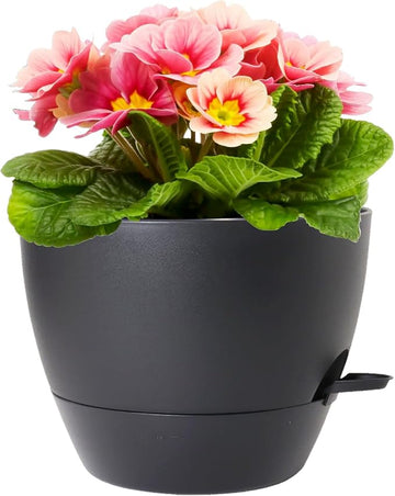12-Inch Self-Watering Plant Pot with Deep Reservoir