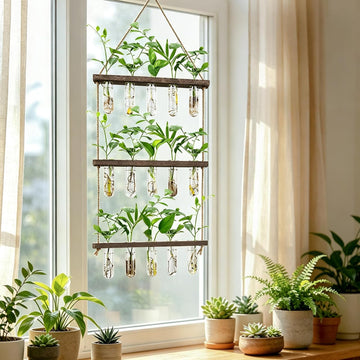 Wall Hanging Plant Propagation Station with 5 Glass Tubes