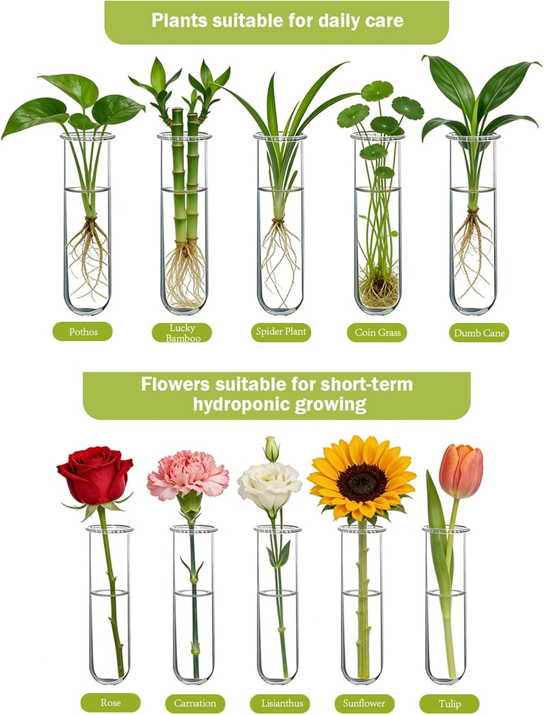 Wall Hanging Plant Propagation Station with 5 Glass Tubes