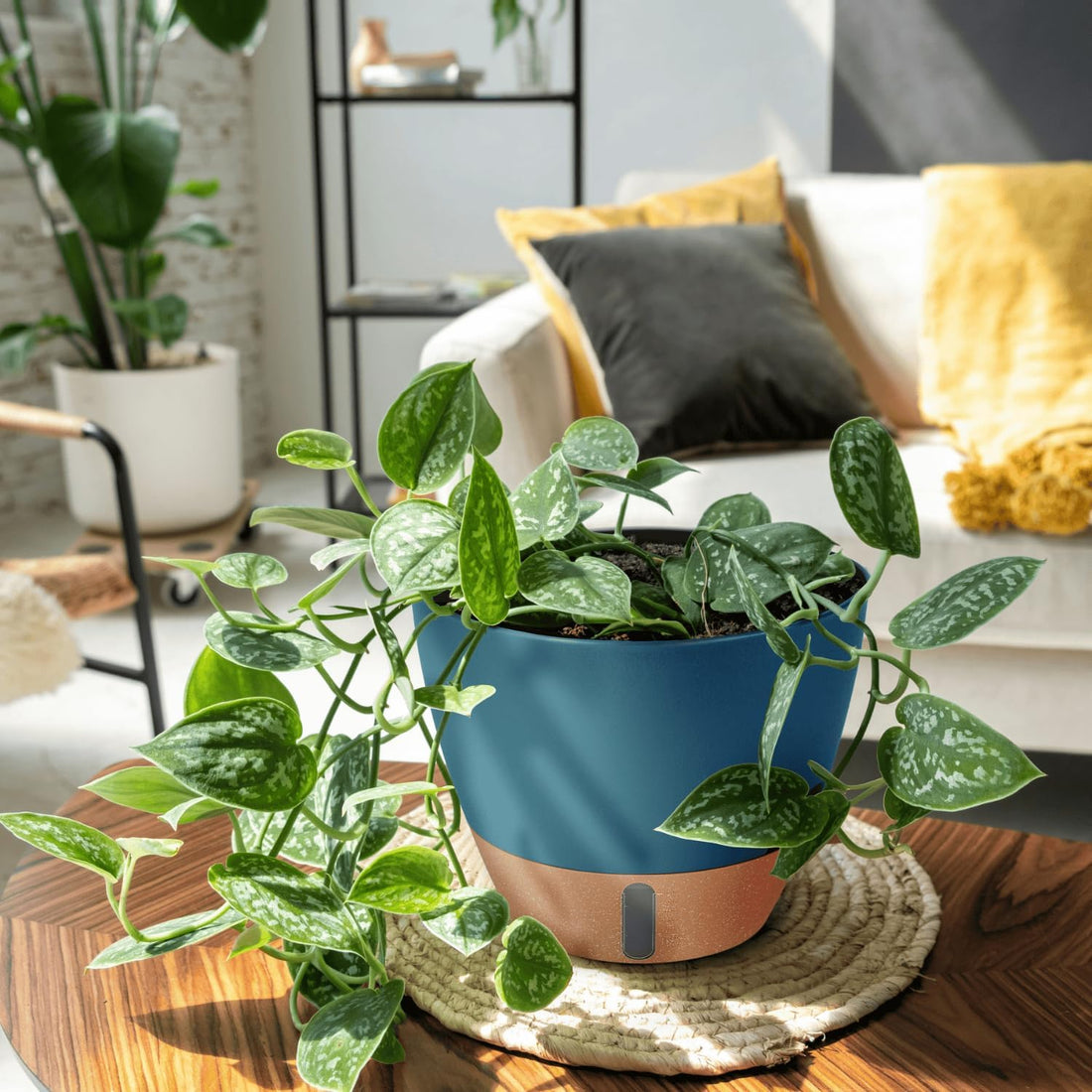 3-Pack Self-Watering Plant Pots – 12", 10" & 8" Black