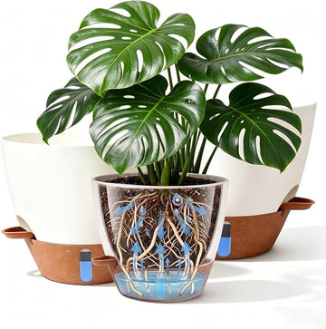 Self-Watering Plant Pots with Water Level Indicator – White
